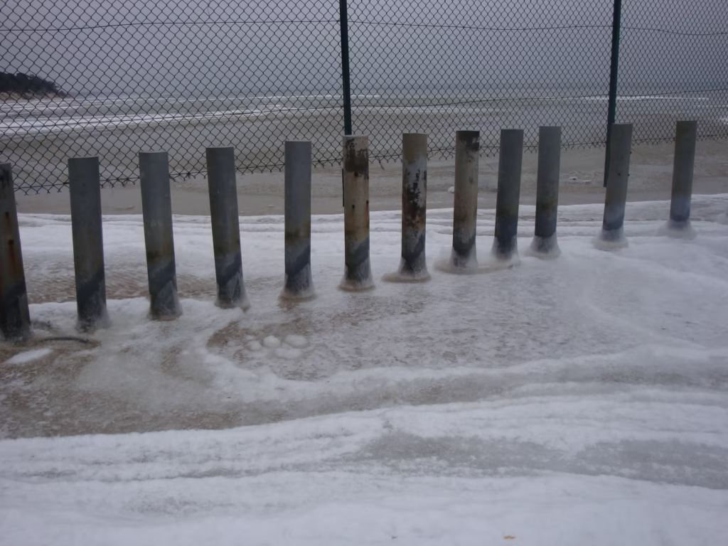 DSC00756 Palisada w Juracie