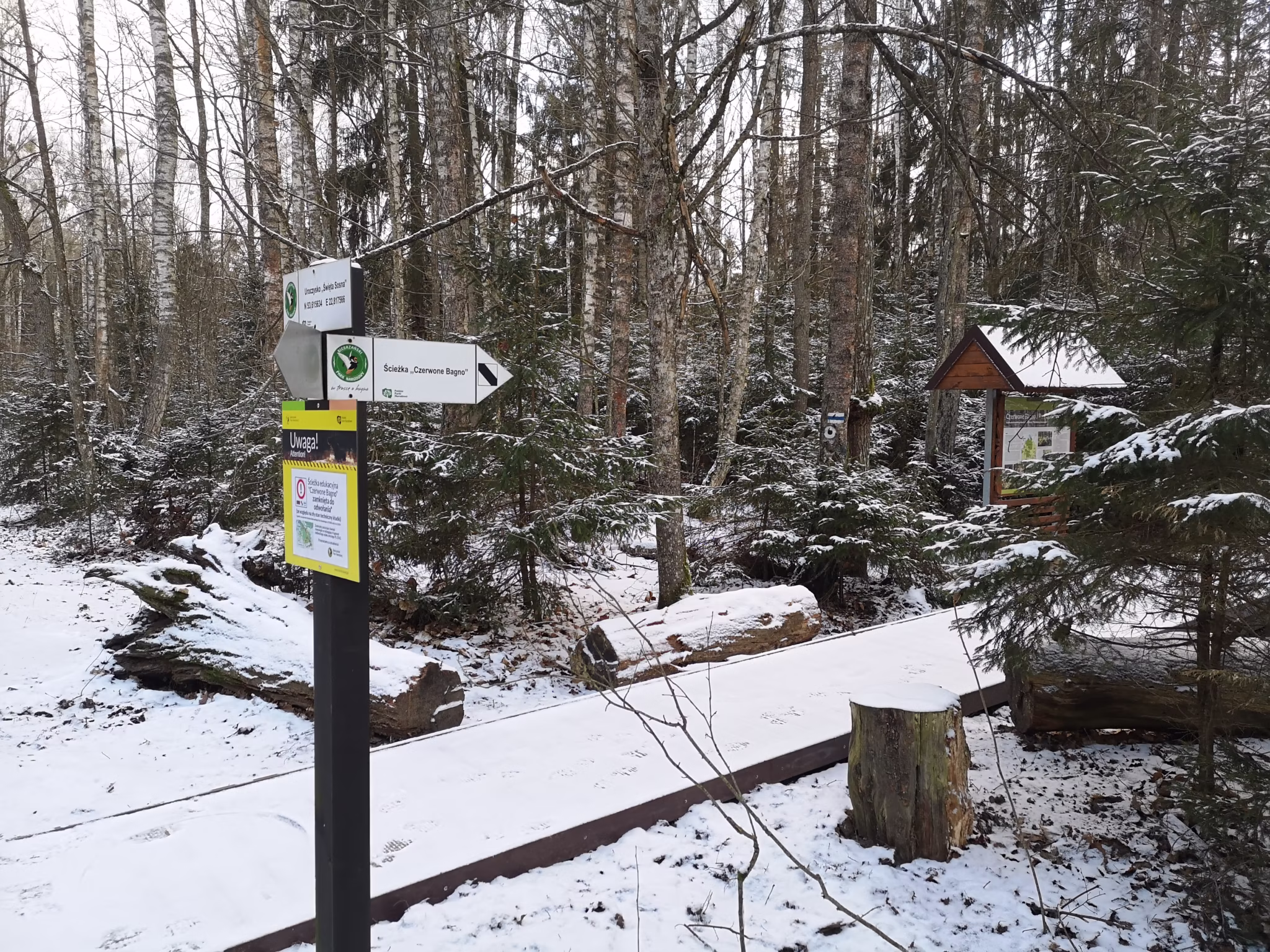IMG 20211208 091610 Ścieżka "Czerwone Bagno"