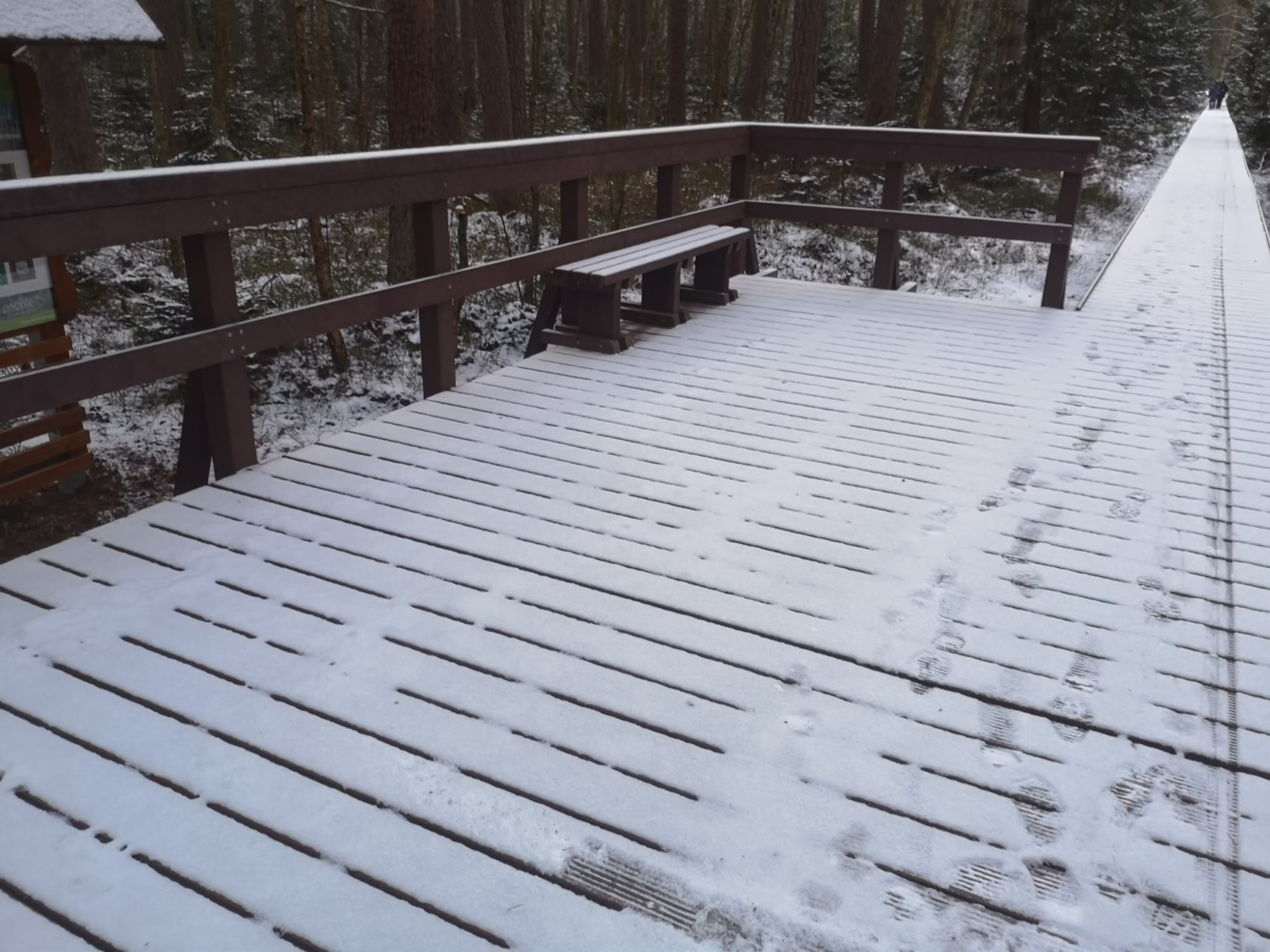 IMG 20211208 092353 Ścieżka "Czerwone Bagno"