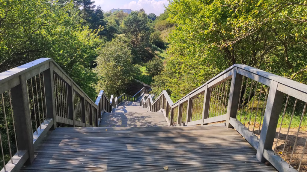 IMG 20250905 132401 Schody przy wejściu nr 15 w Chłapowie