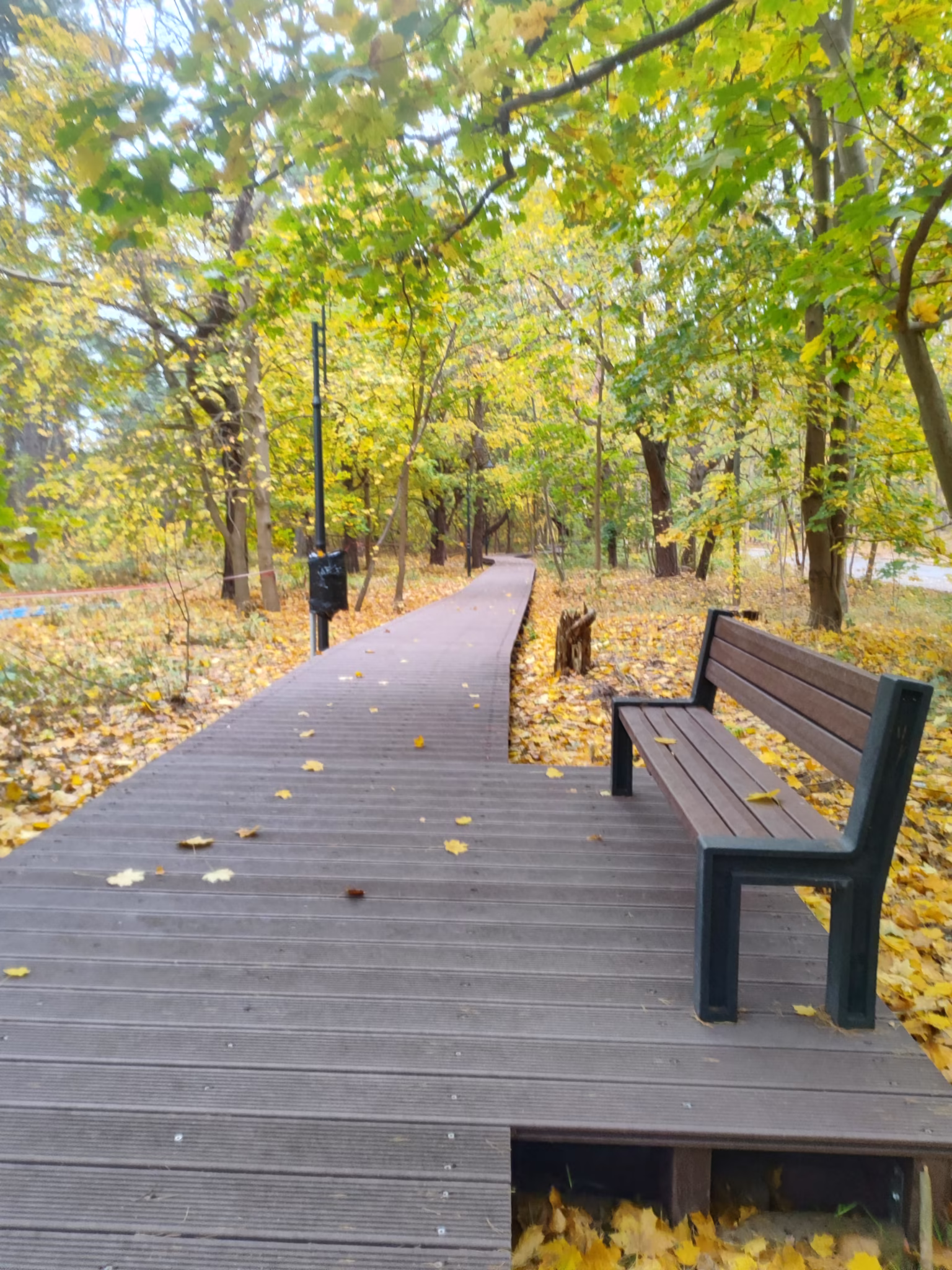 IMG 20241107 114654 1 Promenada Leśna wzdłuż ul. Uzdrowiskowej