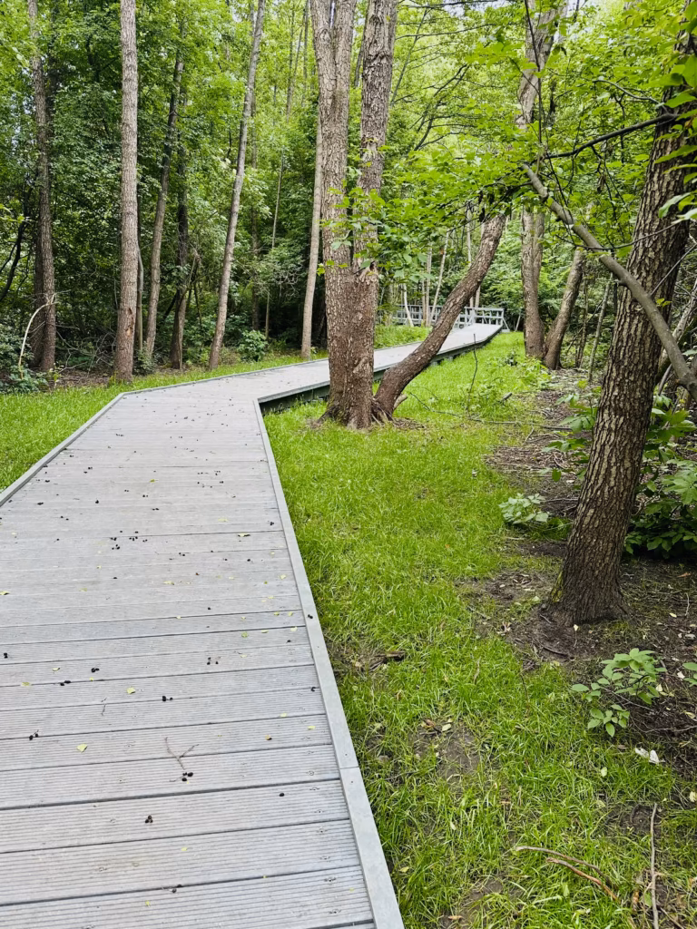 IMG E4660 Park Przedsiębiorców